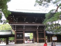 IMG_3506.JPG